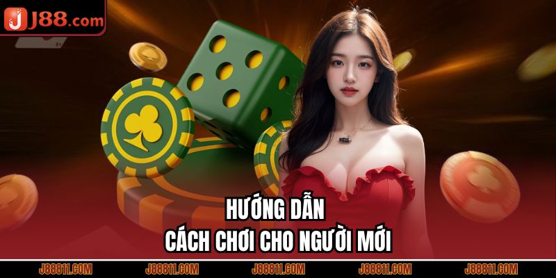 Hướng dẫn cách chơi cho người mới