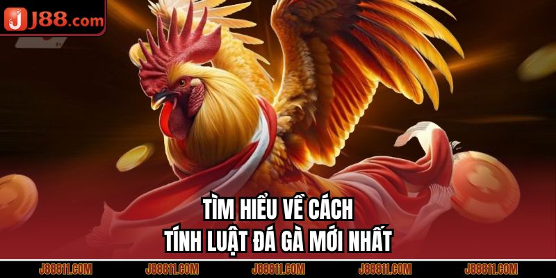 Tìm hiểu về cách tính luật đá gà mới nhất